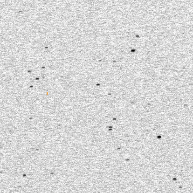 PHA (Potential Hazardous Asteroid)  (88254) 2001 FM129 